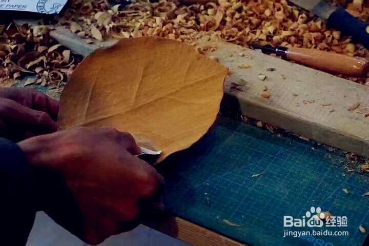 【原创】木艺DIY——树叶托盘（内附教程）