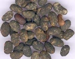 感冒头痛头晕怎么办？