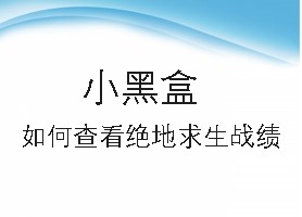 小黑盒如何查看绝地求生战绩