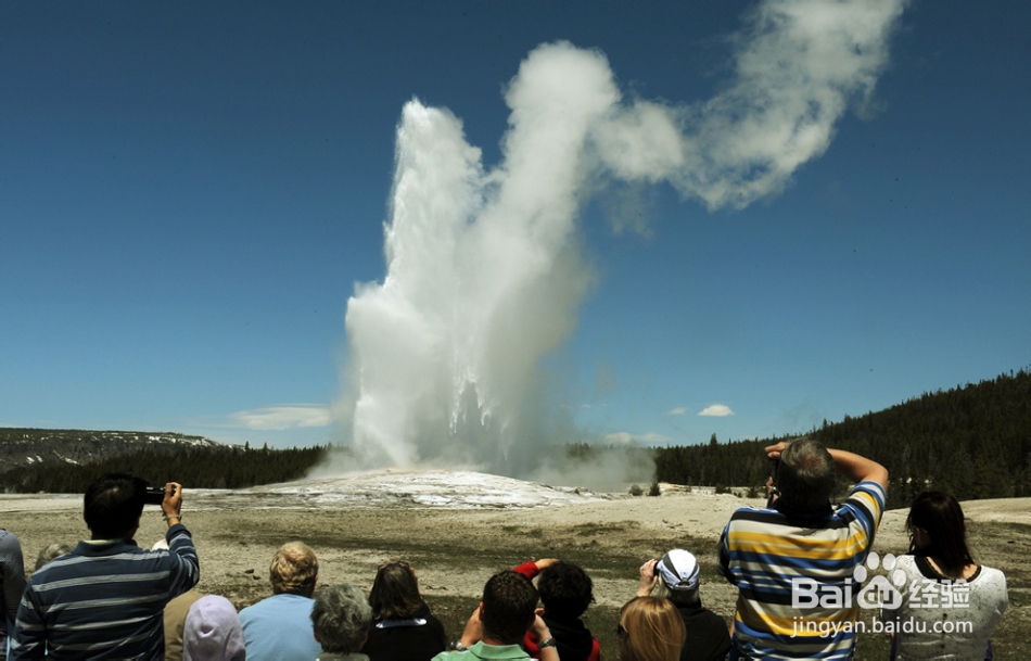 美国黄石公园自驾游需要注意哪些东西?