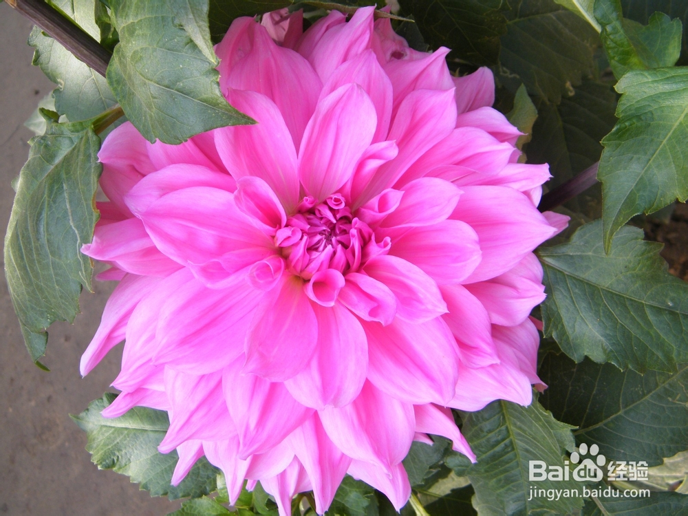 美丽的兰州：[1]人寿山