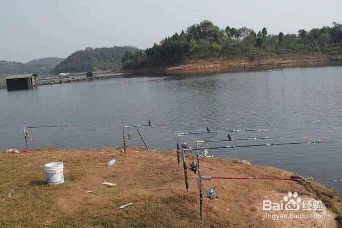 水库河道人工湖不让钓鱼是怎么回事？