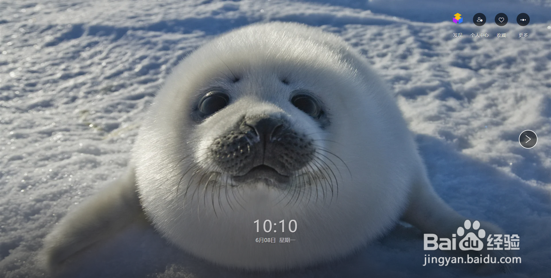 WPS画报展示的图片类型太少，怎么解决？