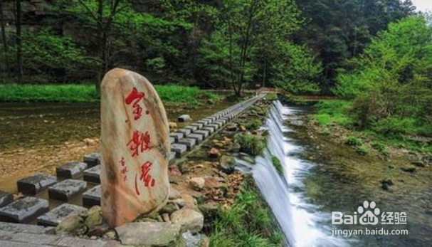 张家界如何旅游