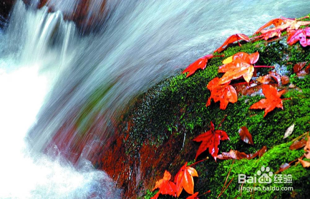赏秋之旅——南江精品三日游