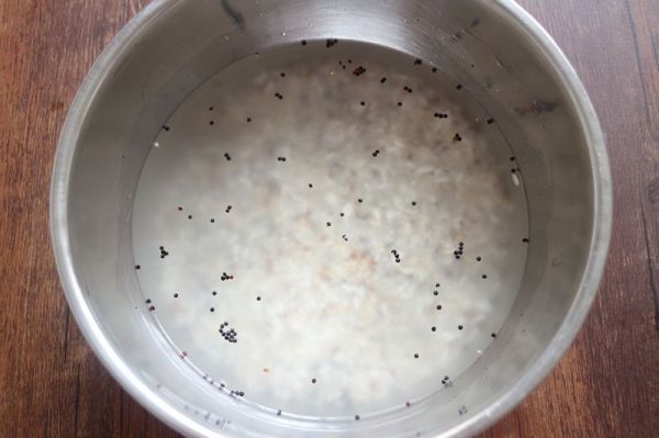 金枪鱼藜麦饭团