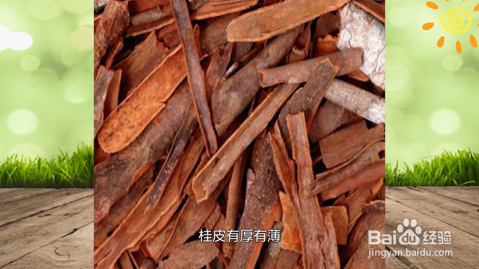桂皮和肉桂的区别