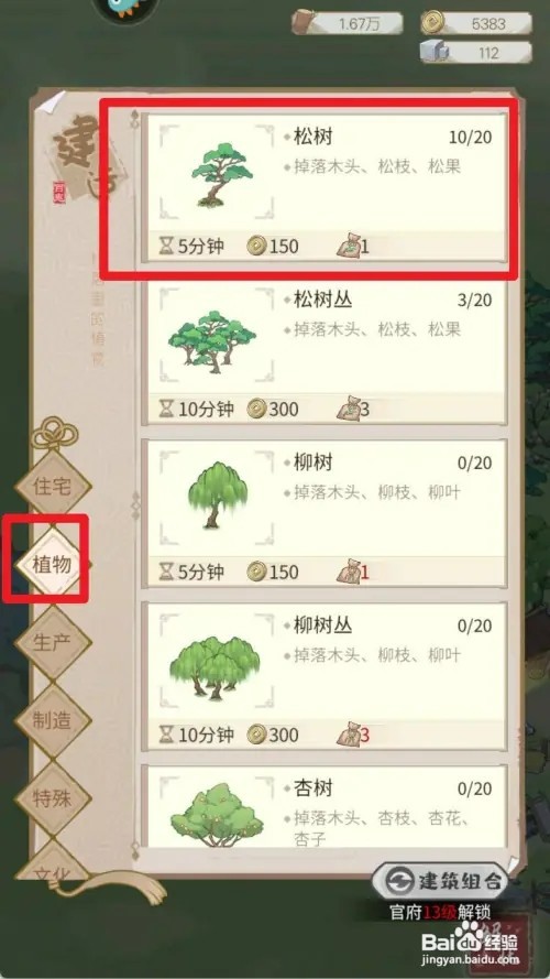 解忧小村落松树怎样种植