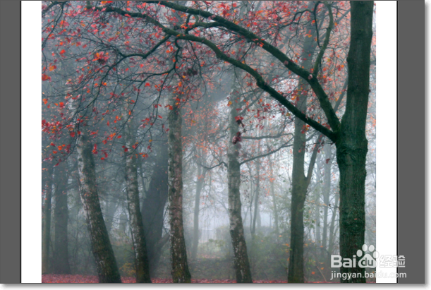 在AI里面如何设置裁切线？