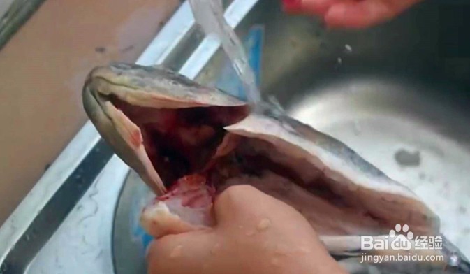 清蒸的鱼怎么做