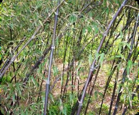 怎样安排舟山群岛二日游