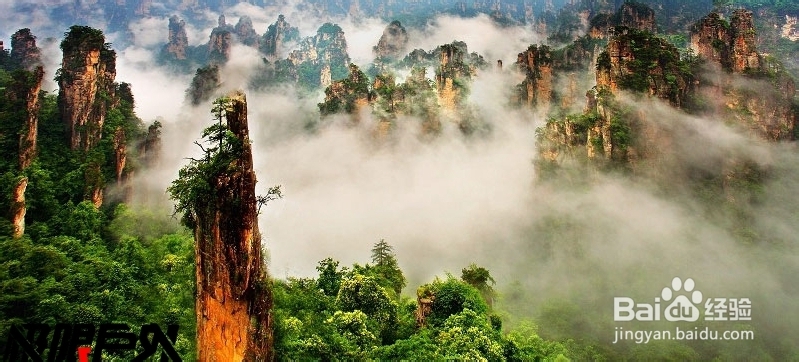 张家界自助游导游攻略