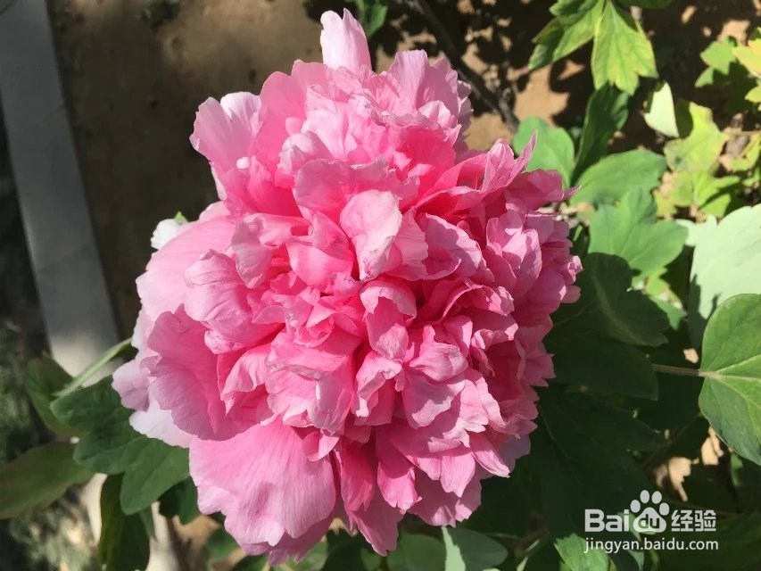 情人节开房注意事项