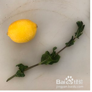 好喝的玫瑰薄荷苏打水