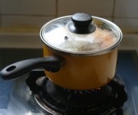 木瓜炖银耳的家常做法