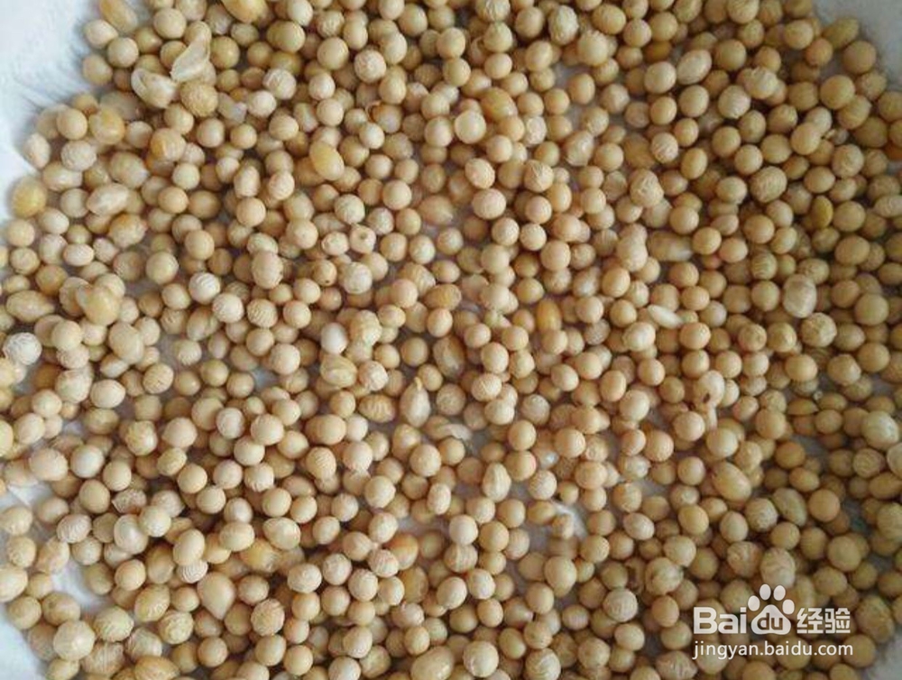 哪些食物不适合和黄豆在一块吃