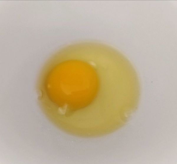 燕麦葡萄干甜饼