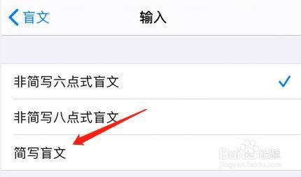 iPhone旁白盲文输入怎么设为简写盲文