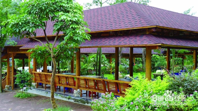 【这里好玩】惠州大亚湾小桂两日游