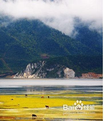 寻找2012最美丽的秋色