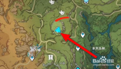 原神与珍稀之鸟的短暂邂逅攻略