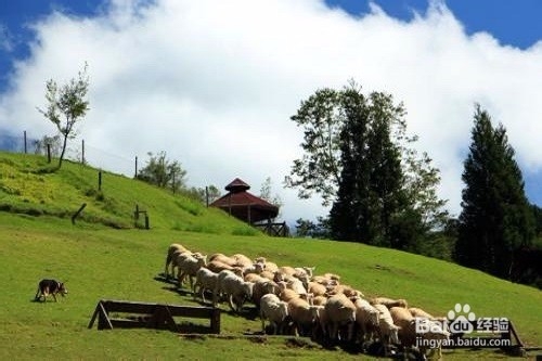 台湾旅游攻略2013