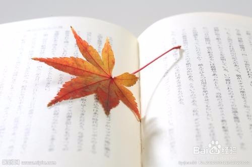 有哪些好听不腻的情话