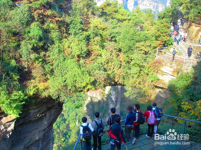 宜昌到张家界旅游攻略