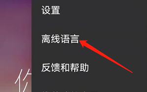 安卓版微软翻译如何下载离线语言