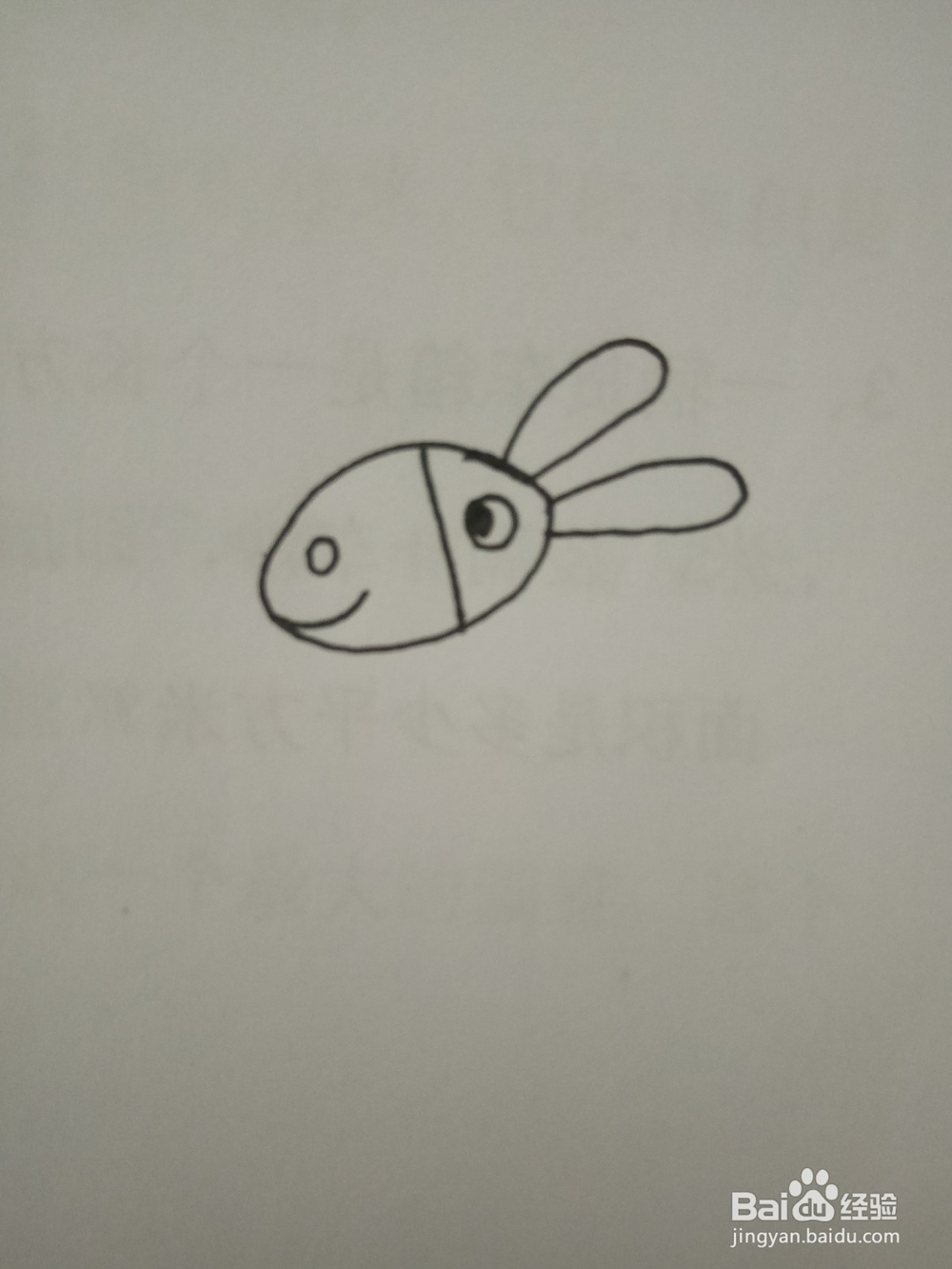 简笔画动物篇之毛驴