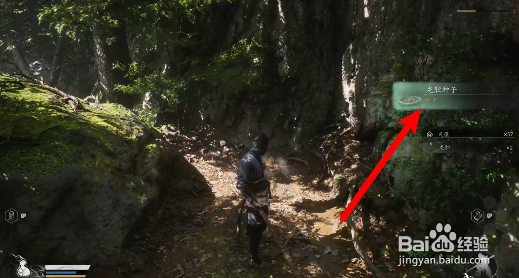 黑神话悟空龙胆种子怎么获得