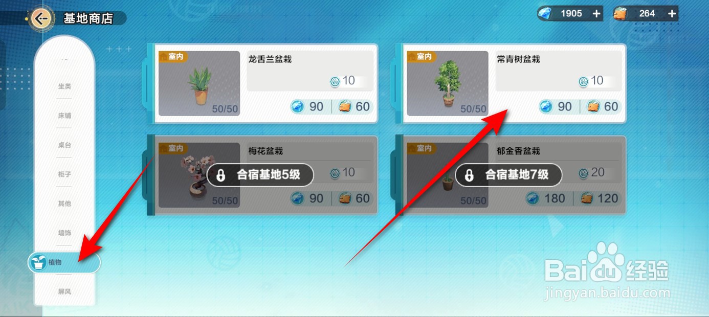 排球少年新的征程如何获得常青树盆栽