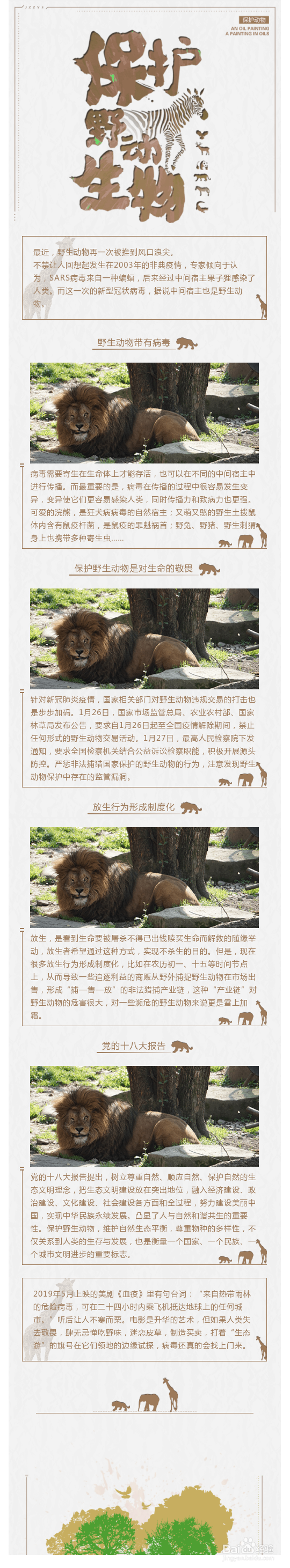 保护野生动物的微信公众号图文应该怎样排版?