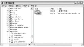 专业的进程管理工具AutoRuns的应用