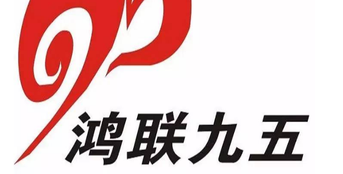 鸿联九五好不好