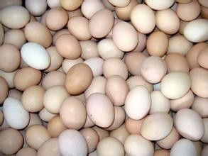一个鸡蛋祛除满脸斑斑点点，你相信吗？