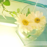 八个征兆为你的健康提个醒