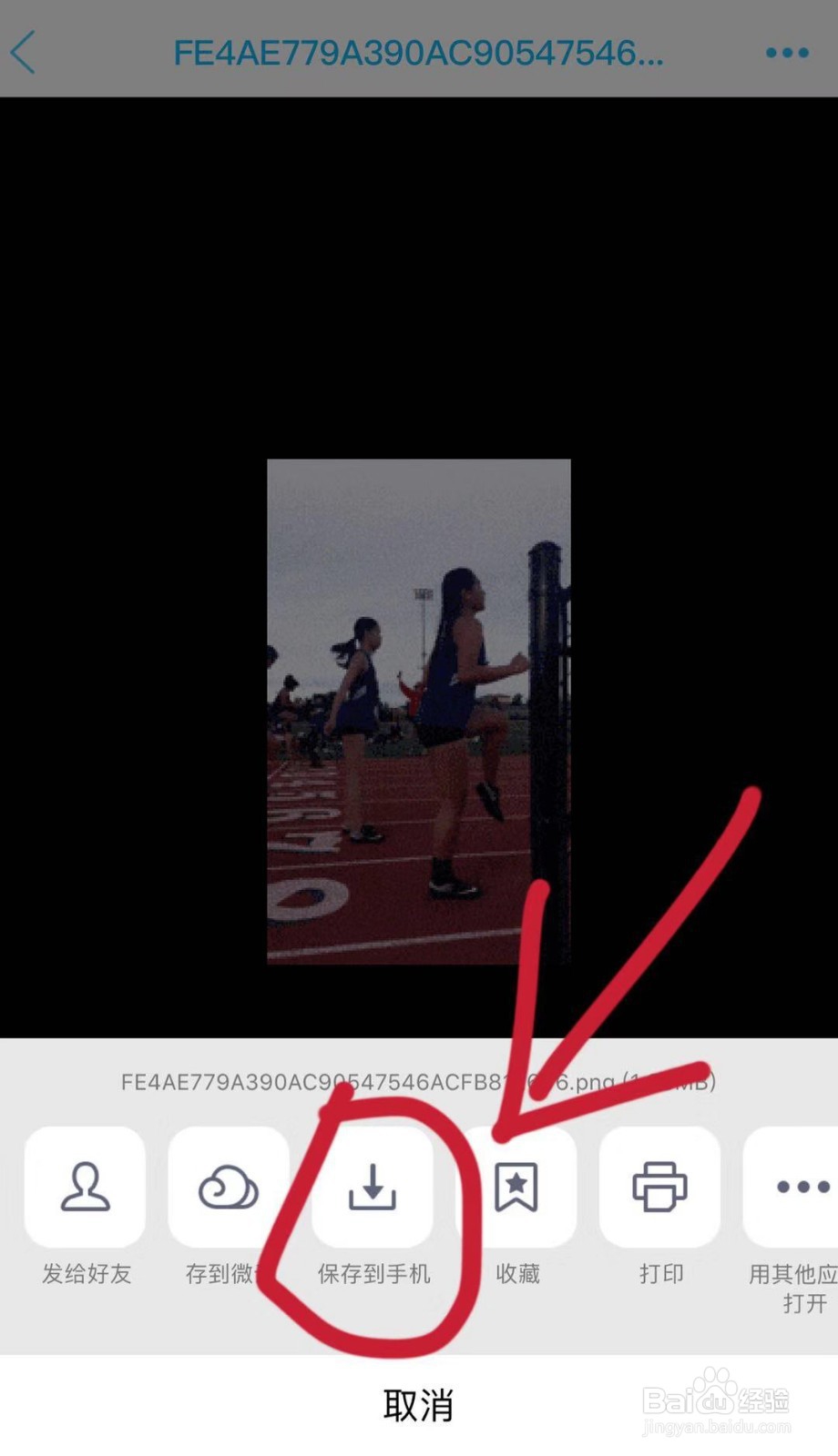 iPhone怎么保存gif图片