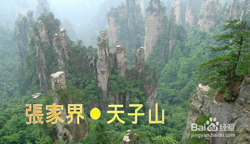 张家界客栈推荐
