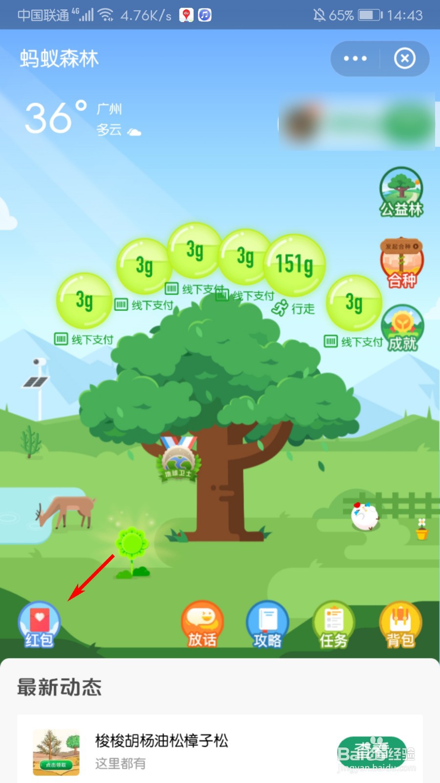 支付宝蚂蚁森林怎么设置浇水红包
