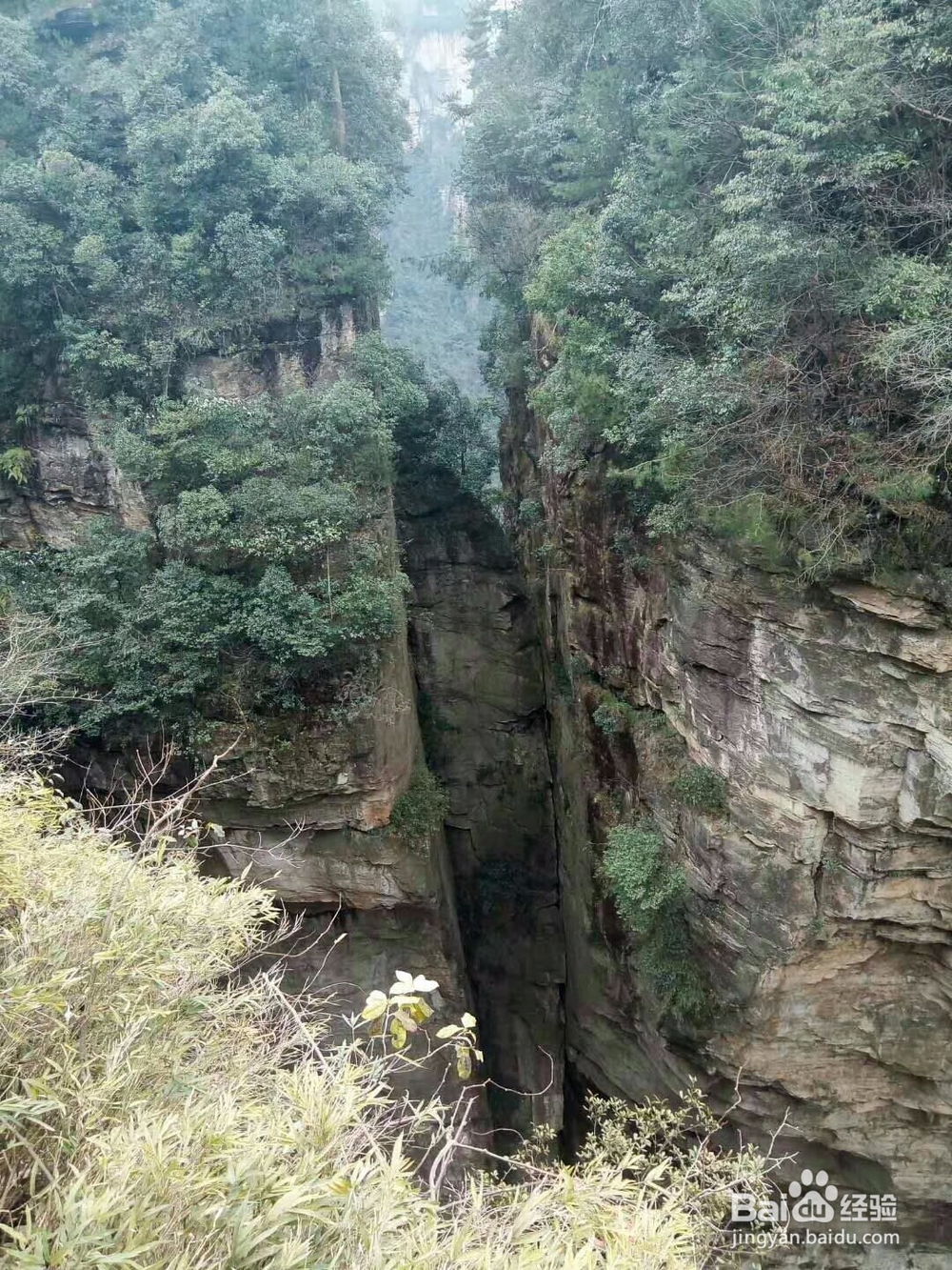 天子山微信好友旅游经历
