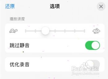 语音备忘录如何设置跳过静音