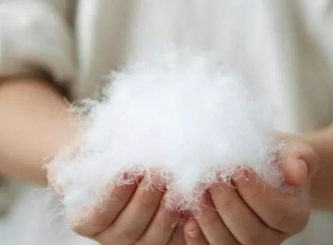 羽绒服和鸭绒有什么区别