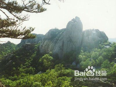 南京政府成立初期的改革