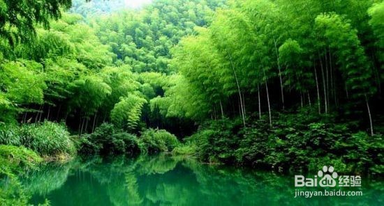 人们旅游的六大误区