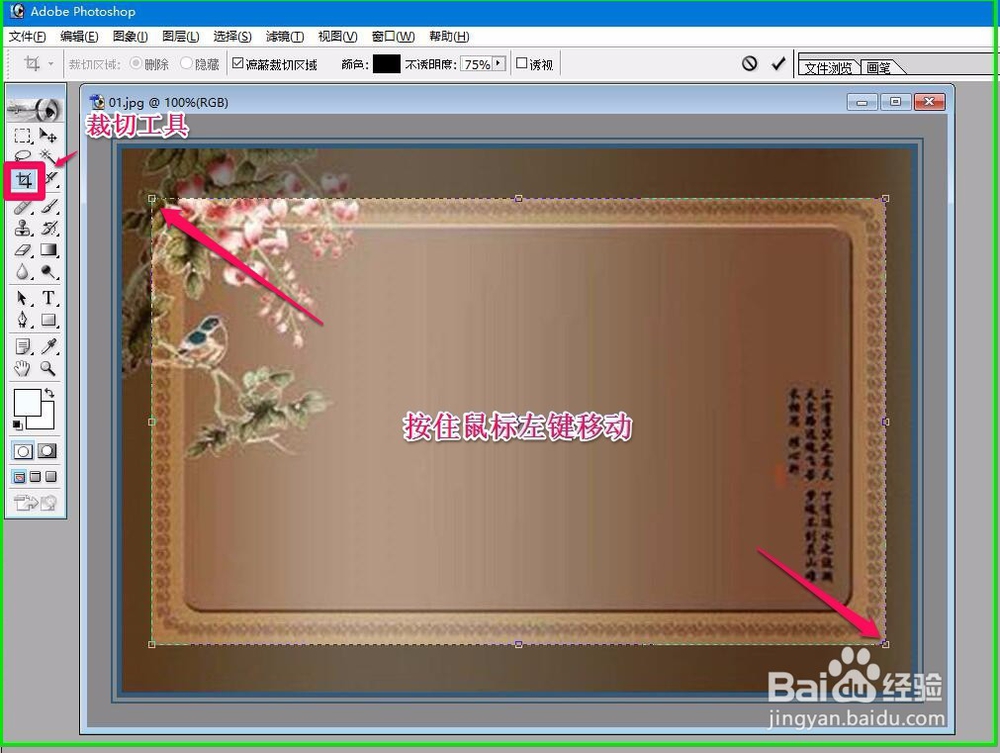 photoshop如何查看图片中部份图片的像素大小