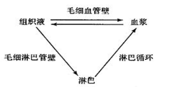 学好高中生物的几点建议