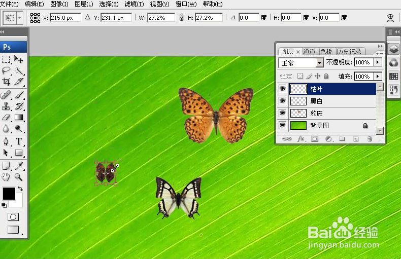 PhotoShop无损放大或缩小图片