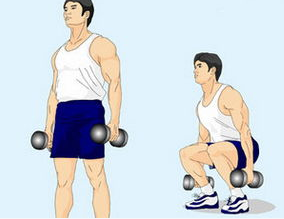 健身需要注意的事项：[5]大腿