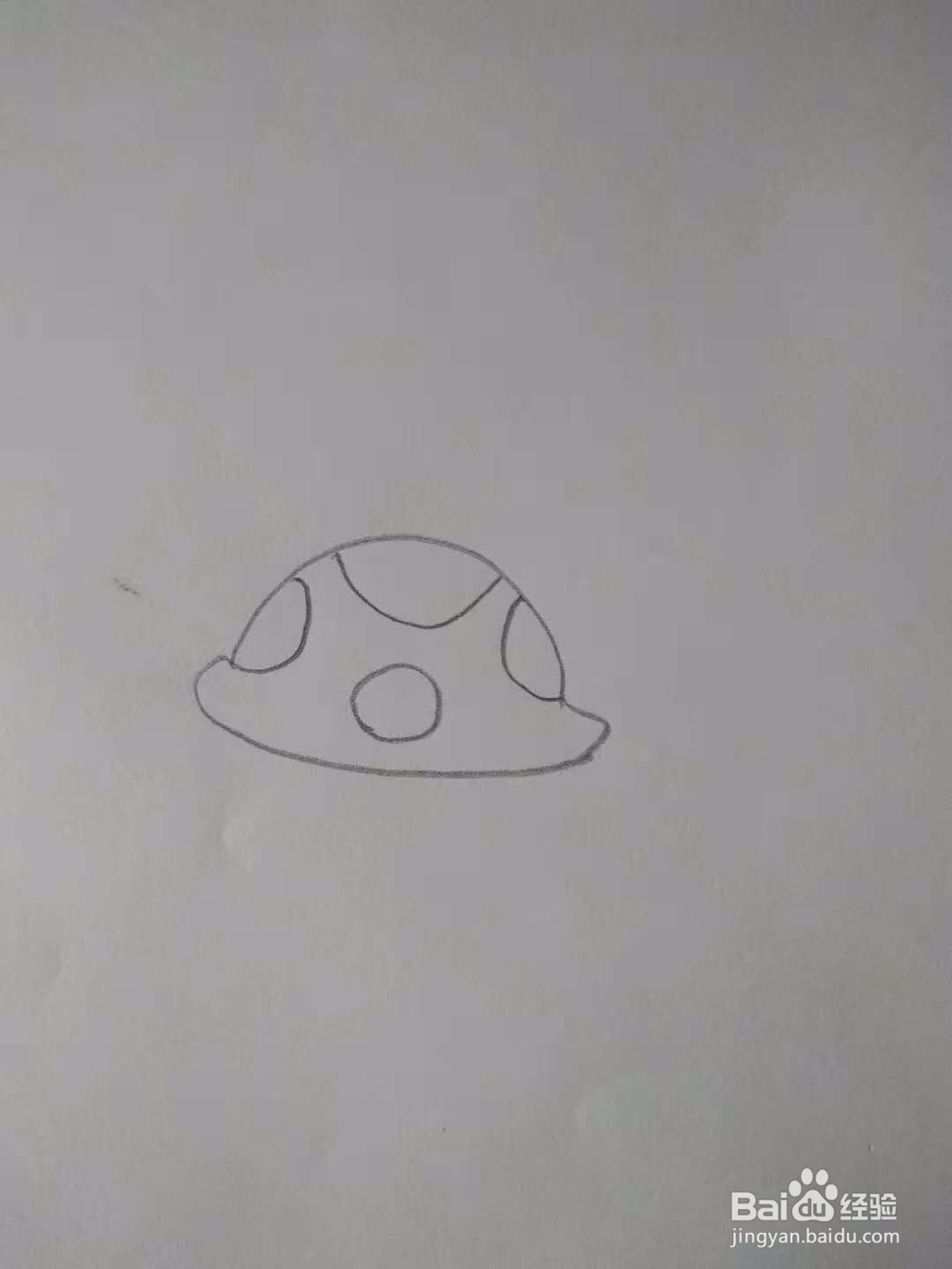 小乌龟简笔画画法